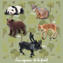 Les copains de la Forêt