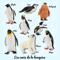 Les amis de la banquise