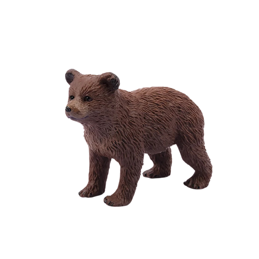 Nukka, l'ourson brun