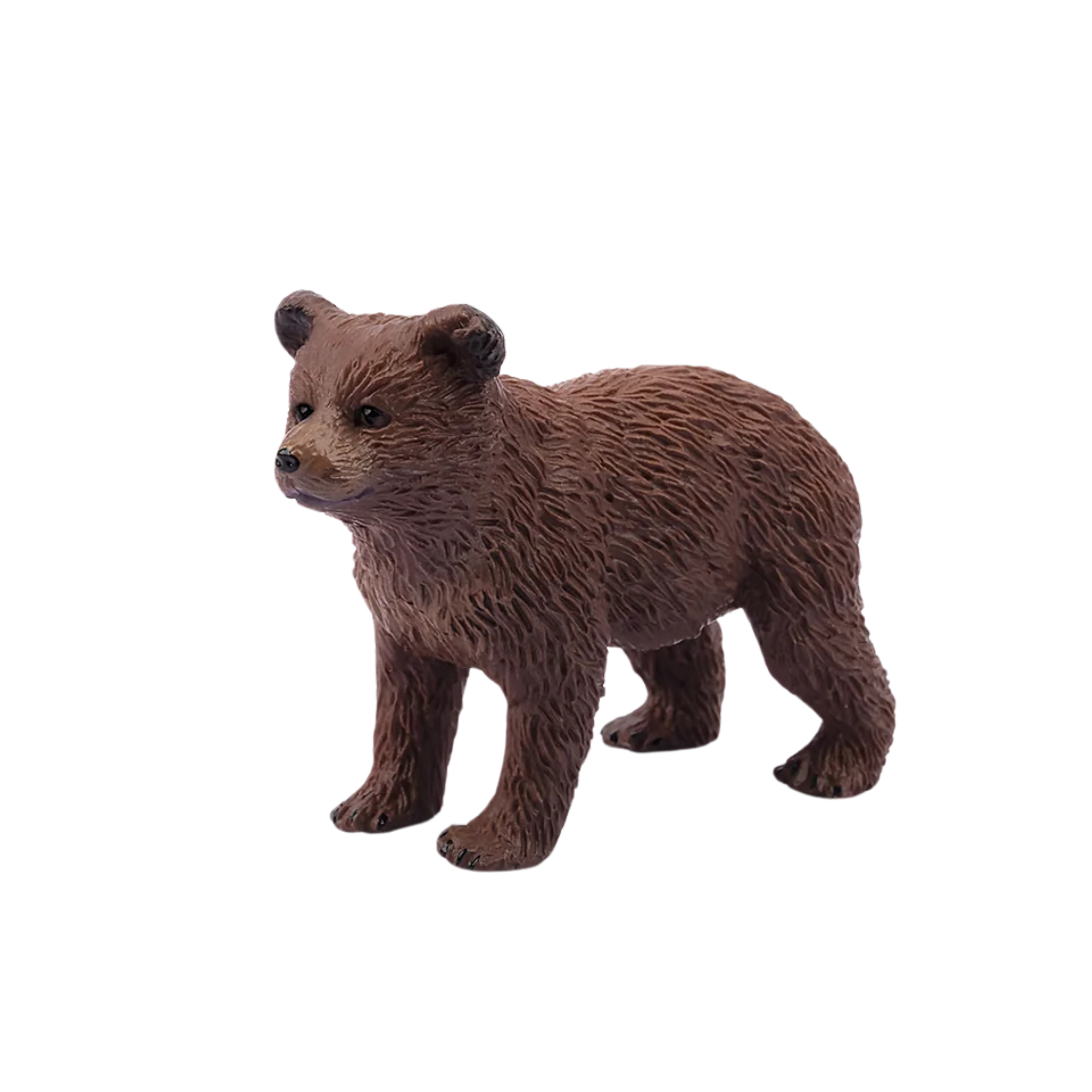 Nukka, l'ourson brun