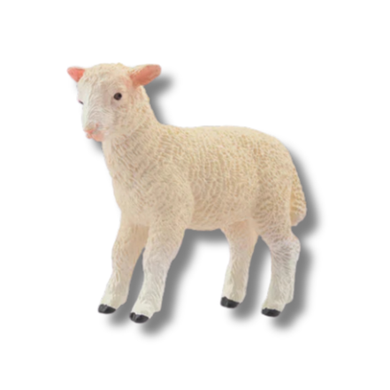 Poppy, l'agneau blanc