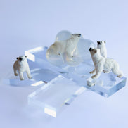 Flocon, l’ours polaire