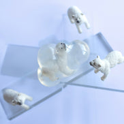 Flocon, l’ours polaire