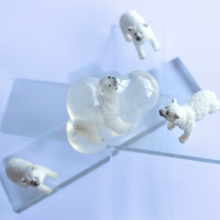 Flocon, l’ours polaire