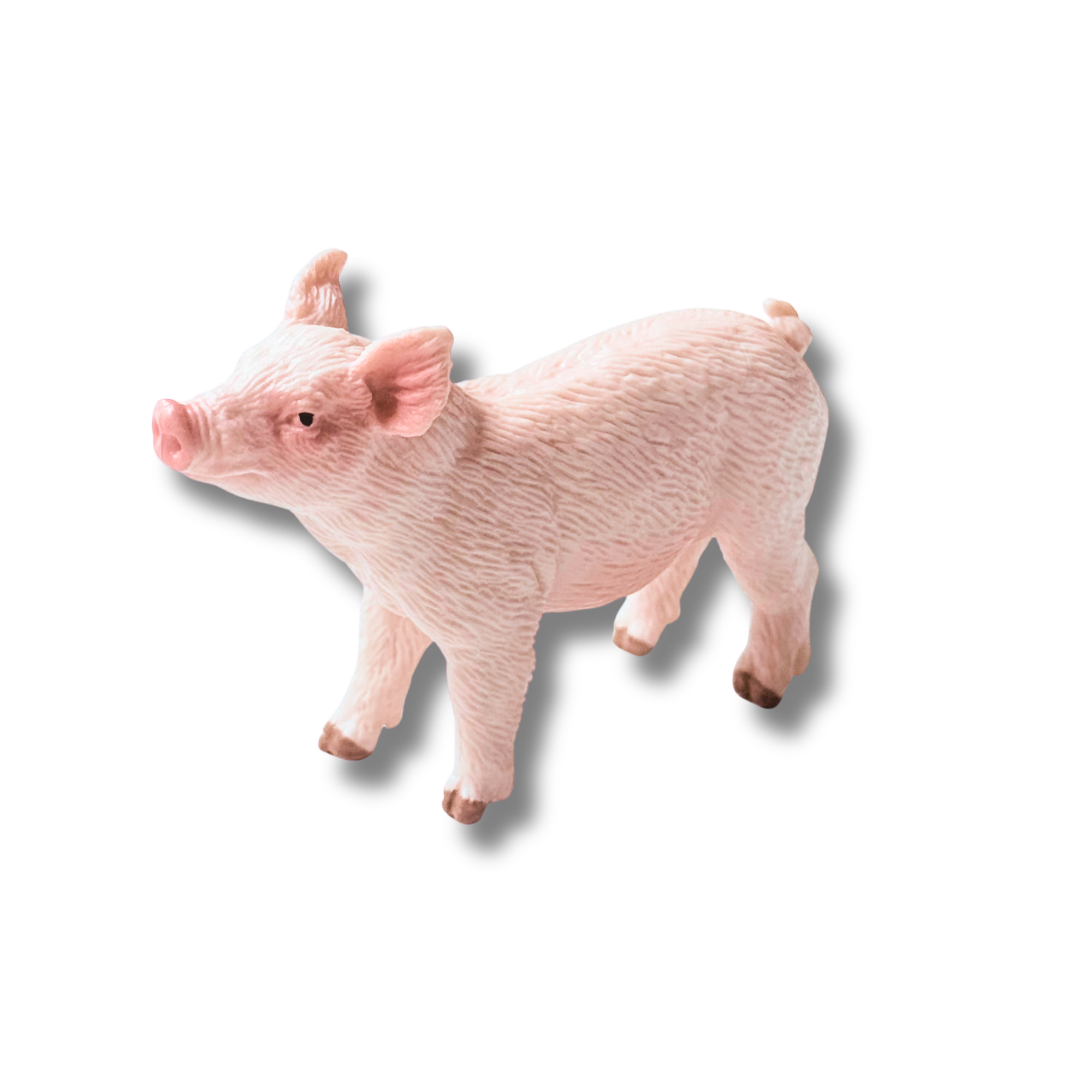 Rosie, le petit cochon rose