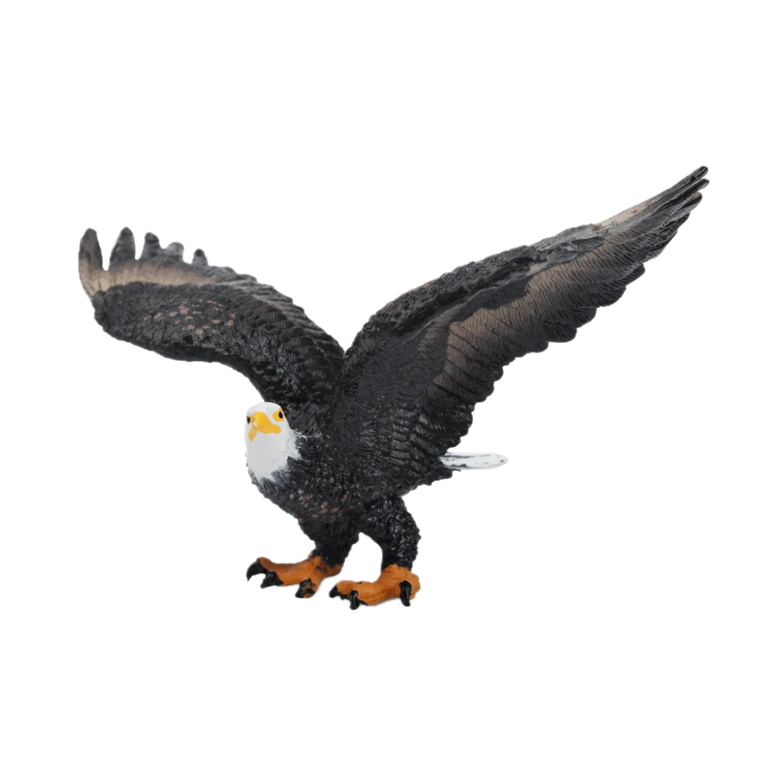 Phoenix, l’aigle
