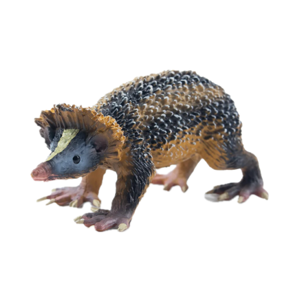 Kiwi, l’ornithorynque