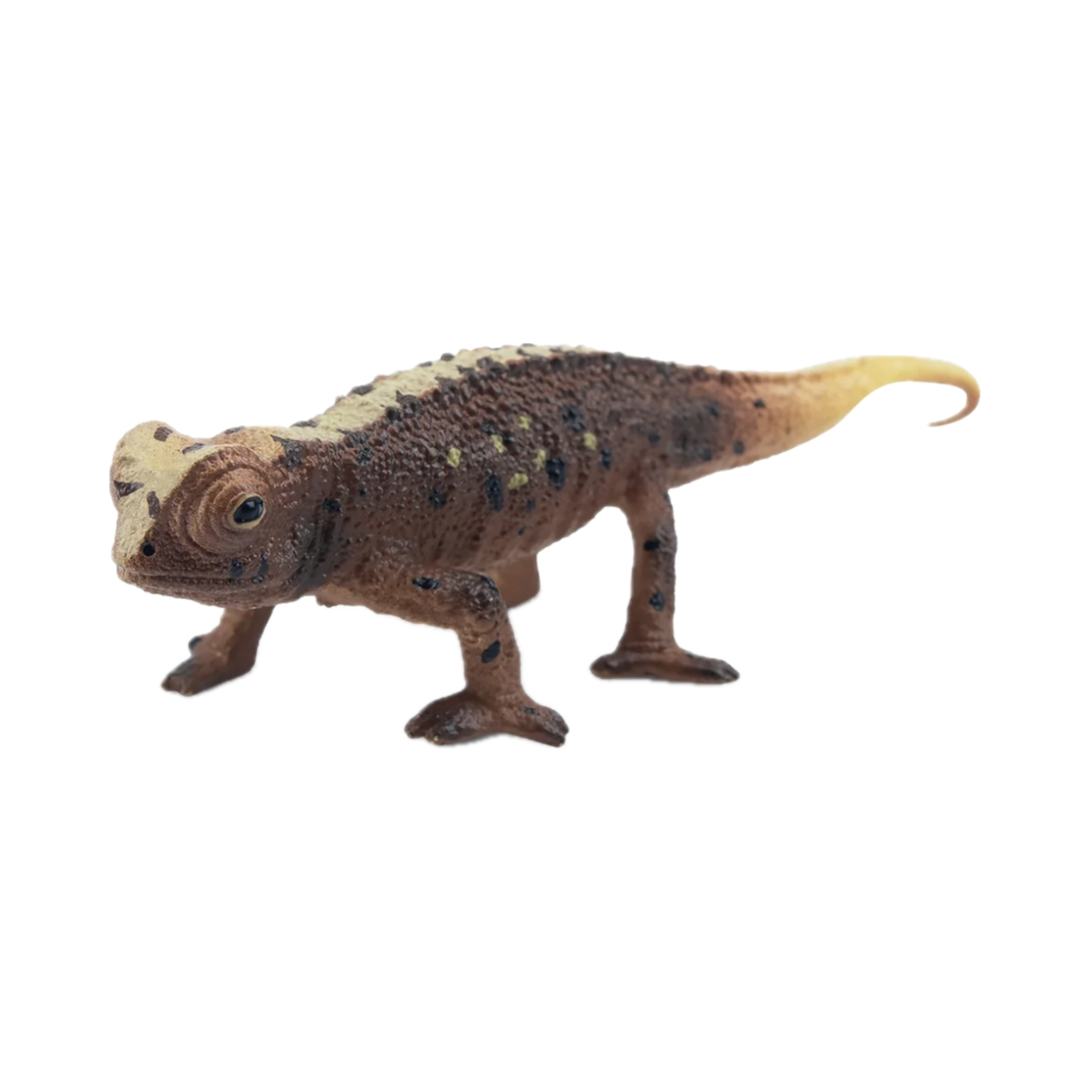 Draco, le gecko gargouille