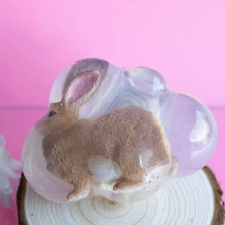 Biscotte, le lapin roux