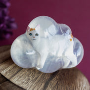 Chipie, le chat blanc