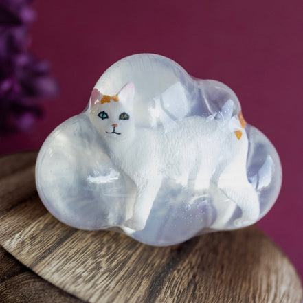 Chipie, le chat blanc