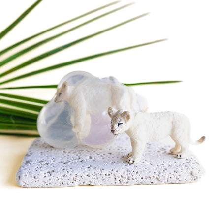 Diego, le lionceau blanc