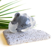 Hector, le bébé rhinocéros