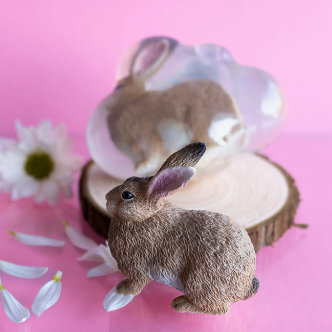 Biscotte, le lapin roux
