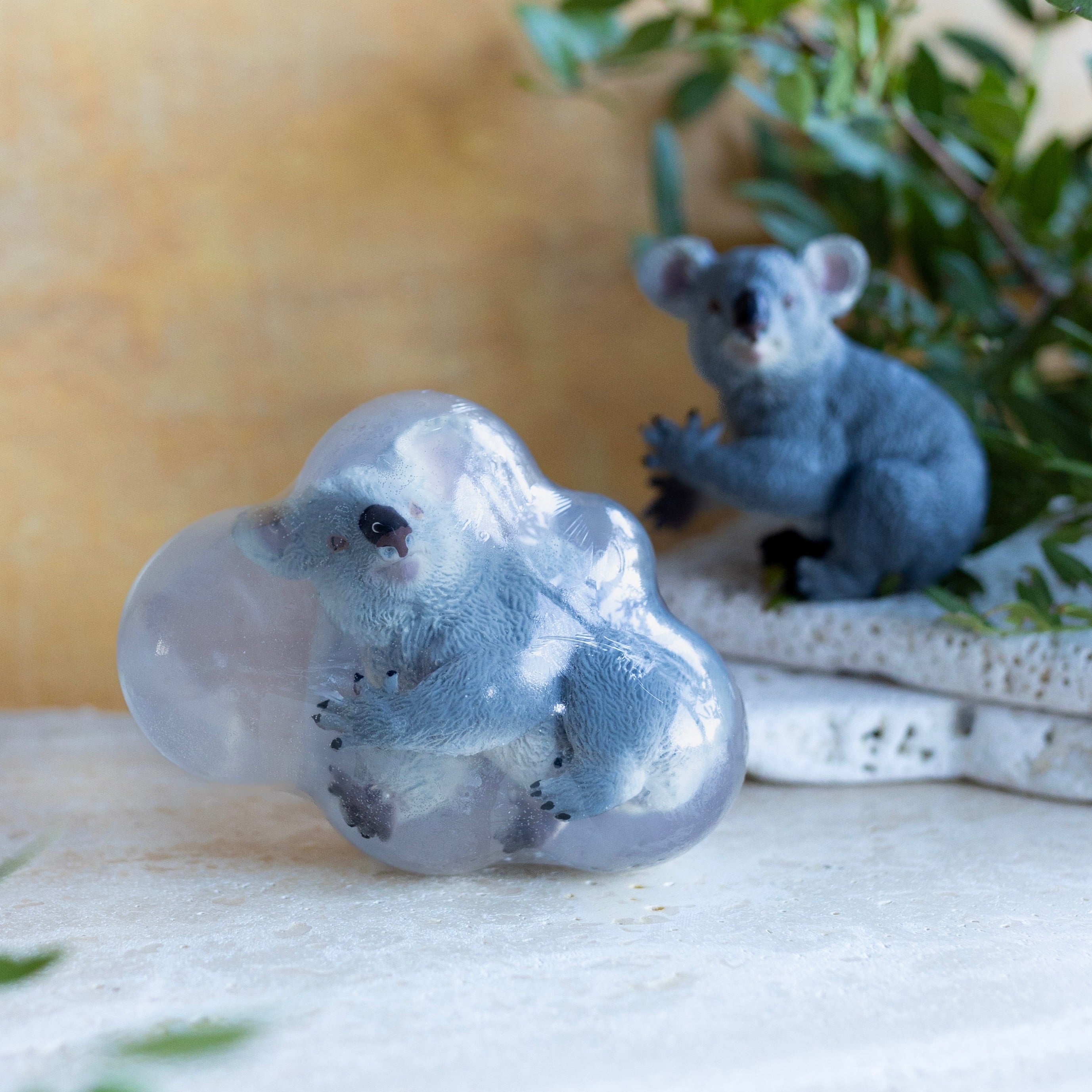 Koko, le koala