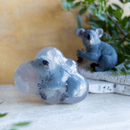 Koko, le koala