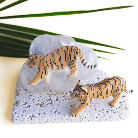 Luna, le tigre orange