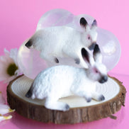 Mochi, le lapin blanc avec les oreilles et le nez foncés