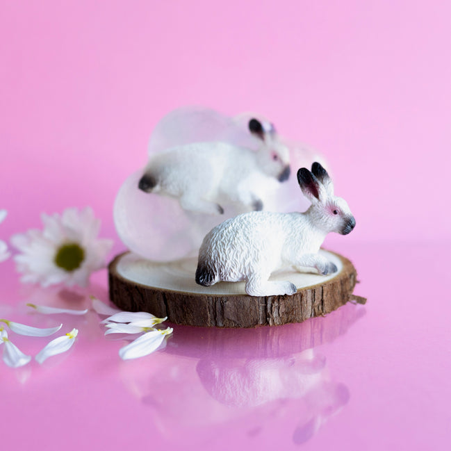 Mochi, le lapin blanc avec les oreilles et le nez foncés