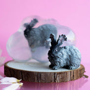 Nuage, le lapin gris foncé aux poils longs