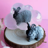 Nuage, le lapin gris foncé aux poils longs
