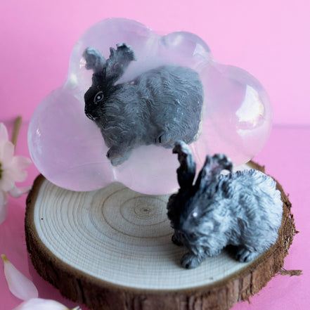 Nuage, le lapin gris foncé aux poils longs