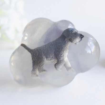 Oslo, le schnauzer
