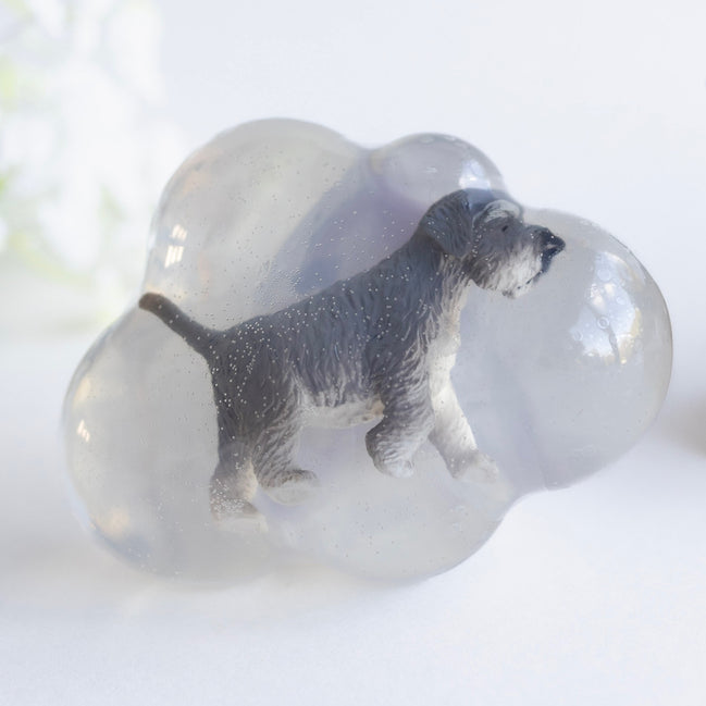 Oslo, le schnauzer