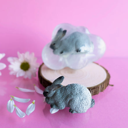 Silver, le lapin gris clair