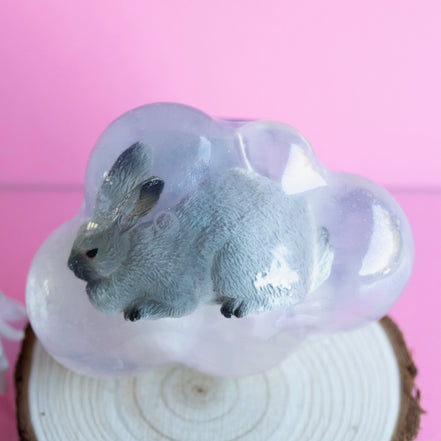 Silver, le lapin gris clair