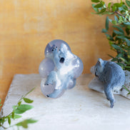 Suzie, le koala